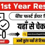 ba 1st year result