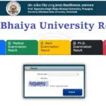 rajju bhaiya university result